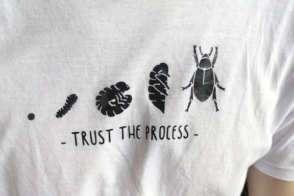 Evolution T-Shirt mit Käfer "Trust the Process"