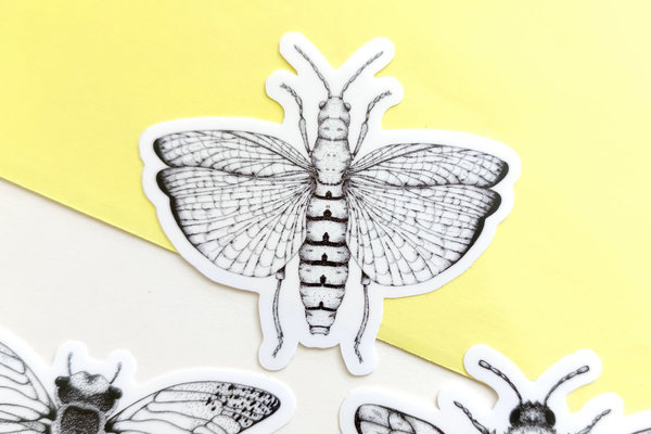 Sticker Set auf Transparent - Insekten Trio  (3 Sticker)