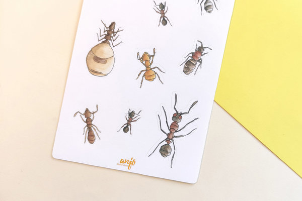 Sticker Sheet - Ameisen