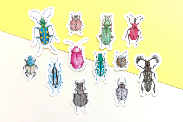 Transparent Sticker Set - Käfer