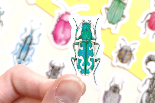 Transparent Sticker Set - Käfer