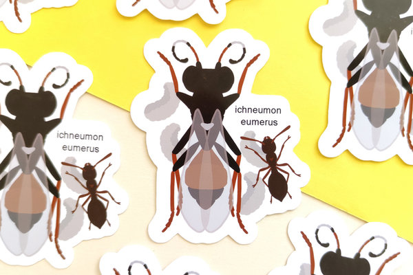 Vinyl Sticker -  Parasitäre Wespe - Ichneumon Eumerus