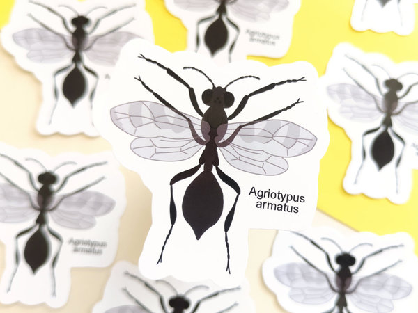 Vinyl Sticker -  Parasitäre Wespe - Agriotypus Armatus