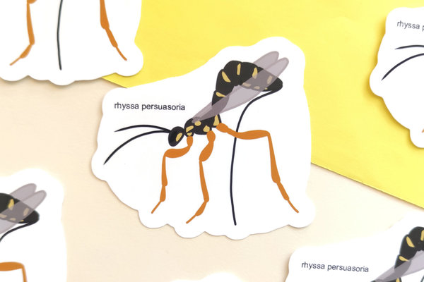 Vinyl Sticker -  Parasitäre Wespe - Rhyssa Persuasoria