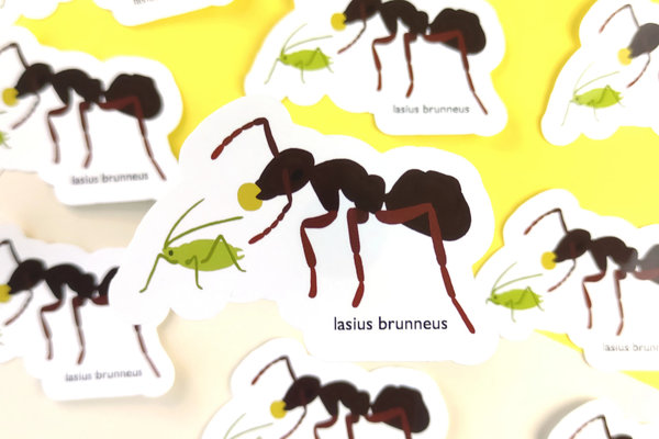 Vinyl Sticker - Wegameise - lasius brunneus